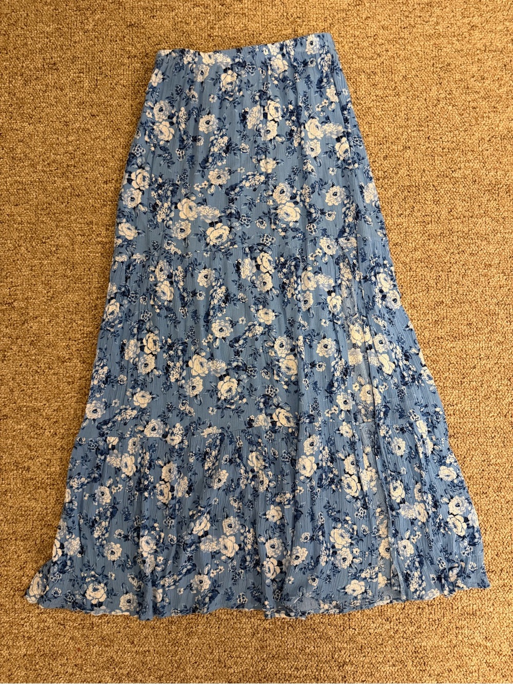 Francesca’s Blue Floral Maxi Skirt